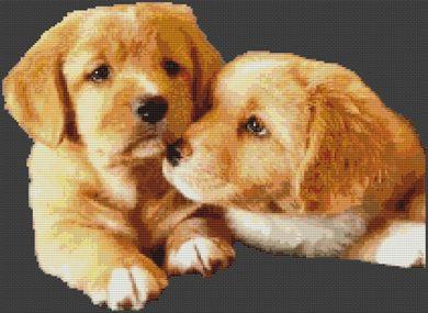 (image for) Puppy Love